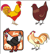 Chicken And Rooster Clip Art