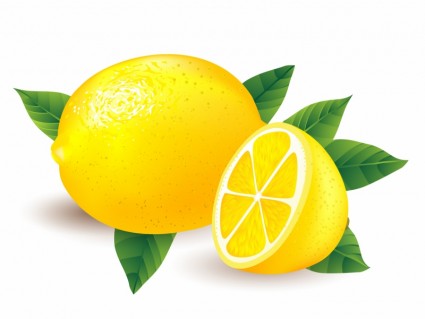 Free Vector    Vector Trust To Nature    Lemon And A Half