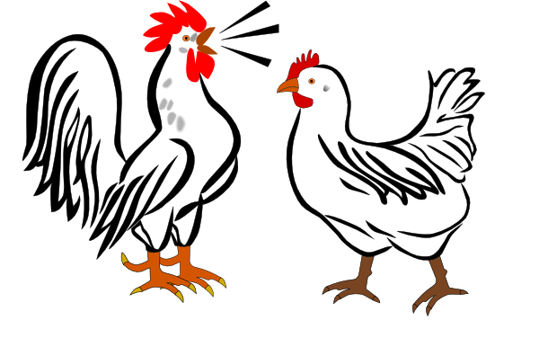 Hen And Rooster Clip Art At Clker Com   Vector Clip Art Online    