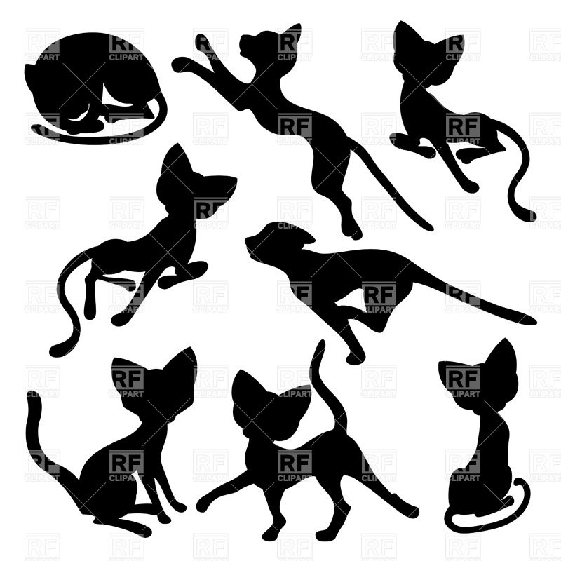Kittens Playing 36116 Download Royalty Free Vector Clipart  Eps