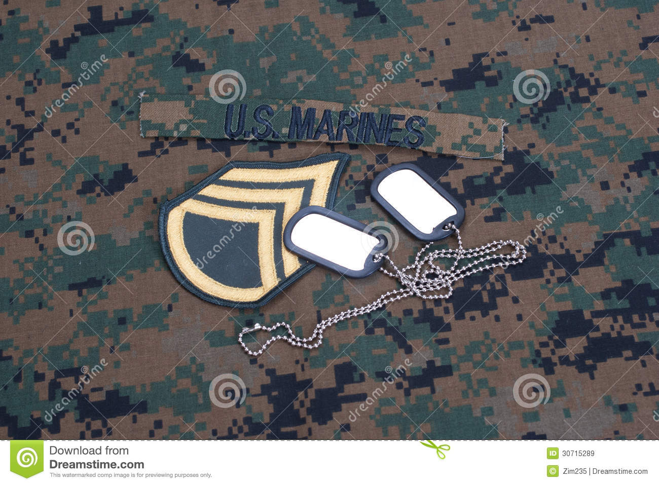     Marines Concept With Service Tapes Dog Tags And Camouflaged Uniform