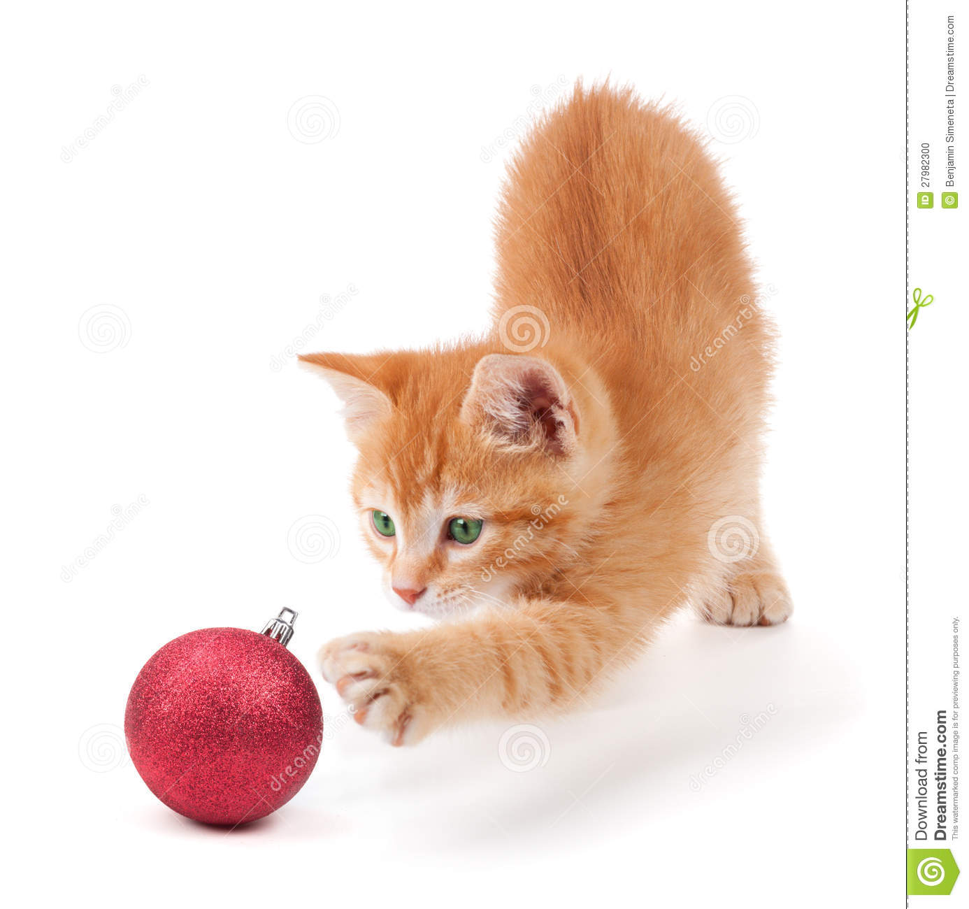 Orange Kitten Playing With A Christmas Ornament Stock Photo   Image