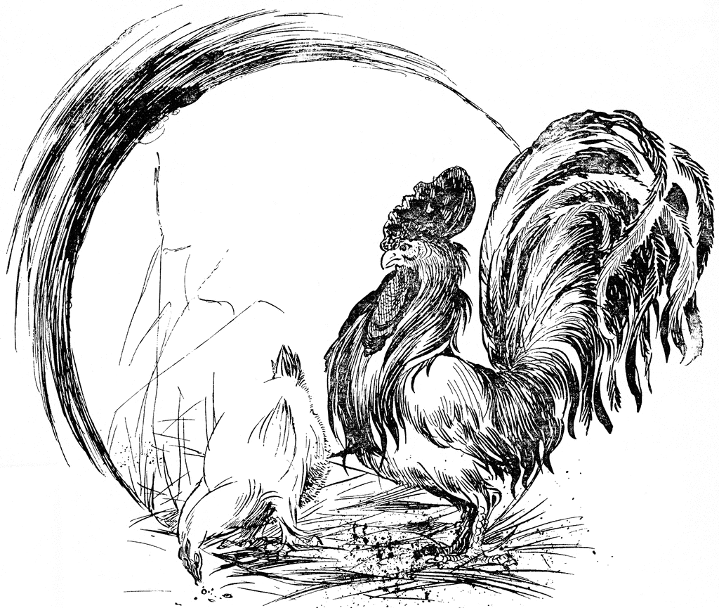 Rooster   Hen
