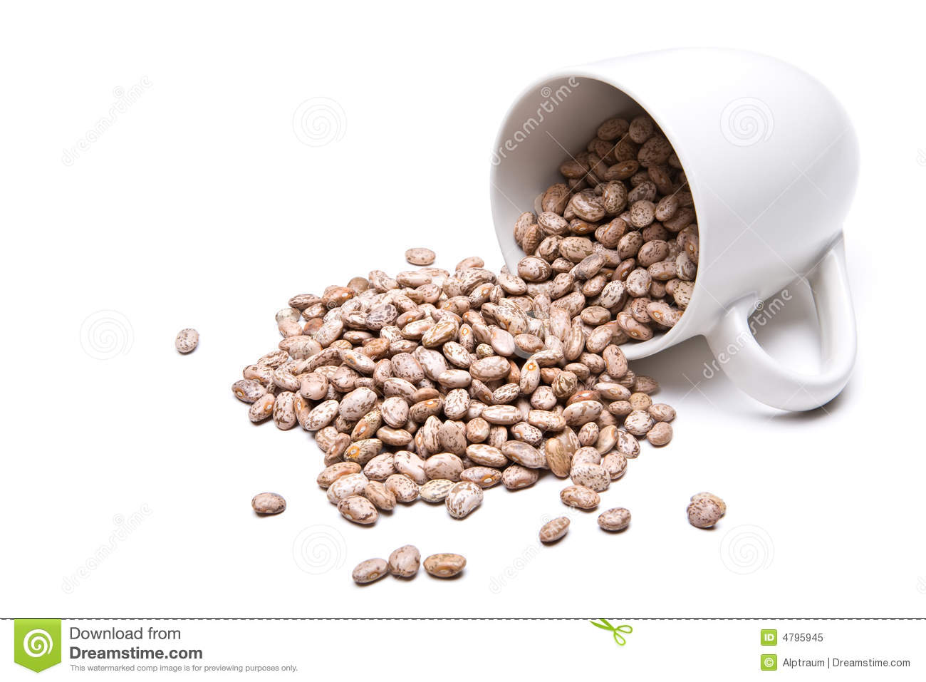 Spill The Beans   Pinto Beans Spilled From White Cup Isolated On