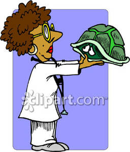 Ethnic Female Vet Holding A Sick Turtle   Royalty Free Clipart Picture