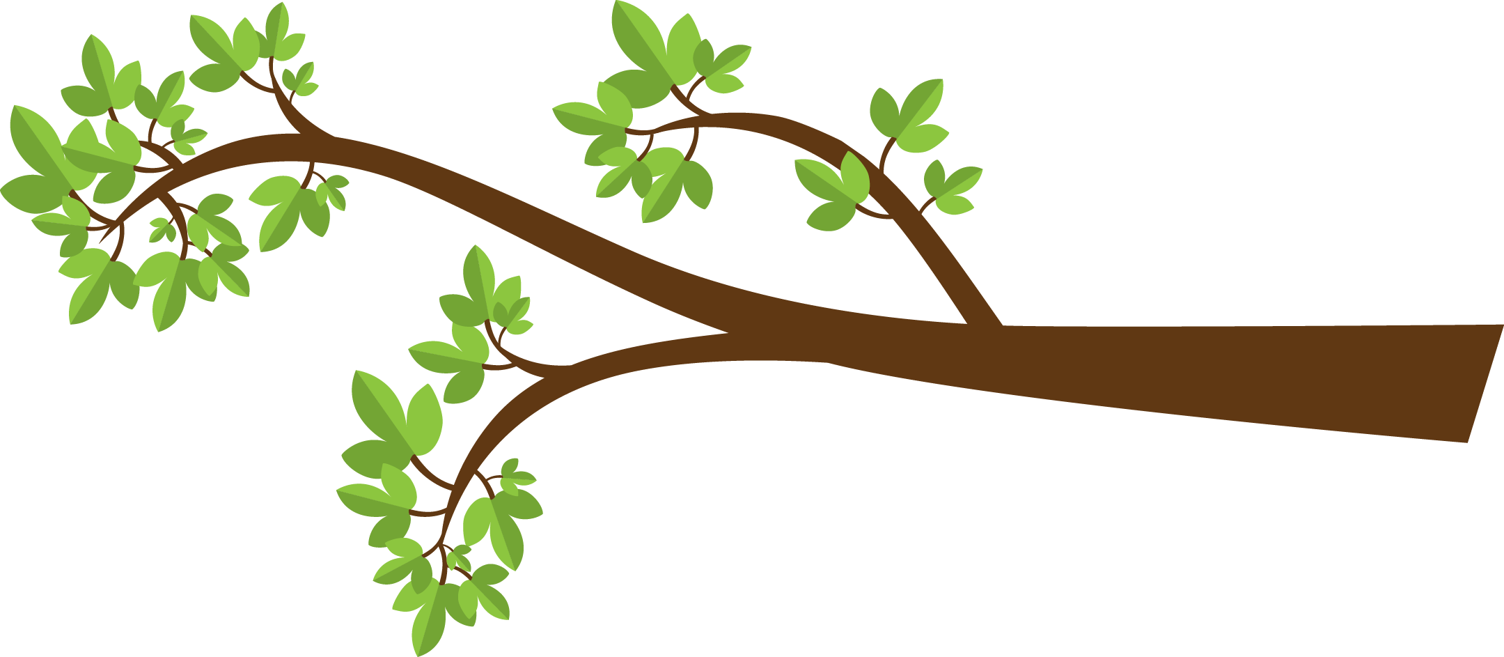 Image Of Tree Branch   Clipart Best