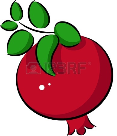 Pomegranate Clipart   Clipart Panda   Free Clipart Images