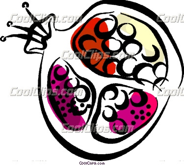 Pomegranate Clipart   Clipart Panda   Free Clipart Images