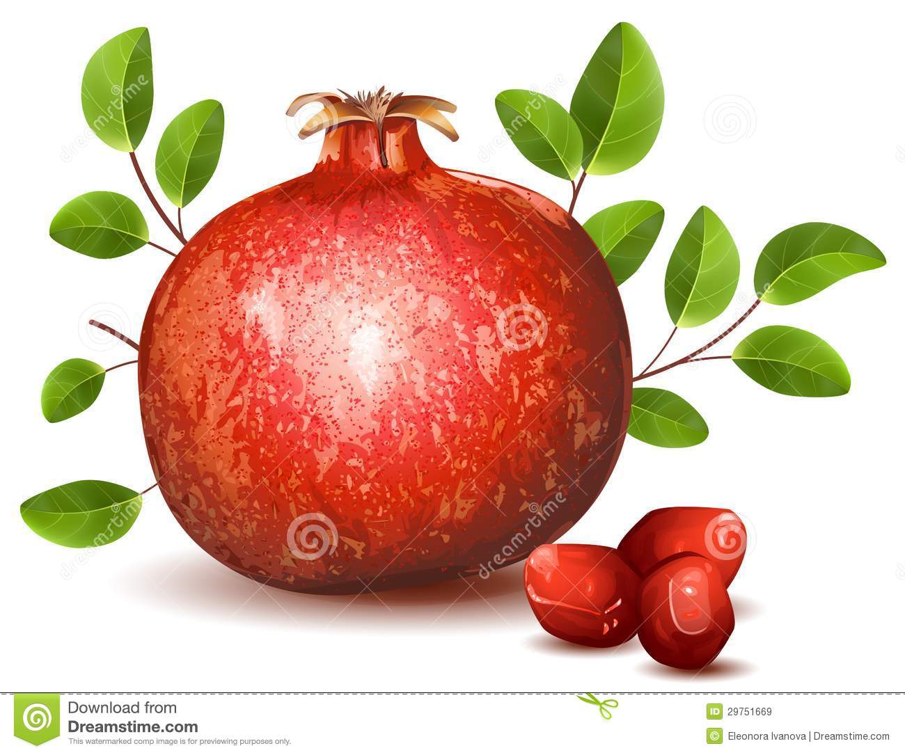 Pomegranate With Leaves Royalty Free Stock Images   Image  29751669
