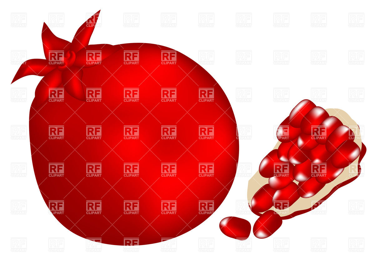 Pomegranate With Slice Download Royalty Free Vector Clipart  Eps
