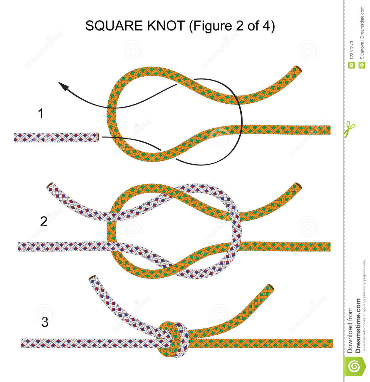 Square Knot  Illustration 2 Of 4  Stock Photos   Image  12337273