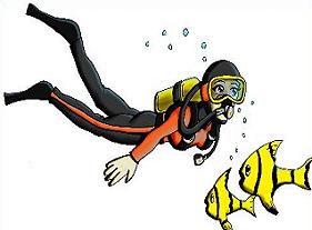 Tags Scuba Divers Scuba Diving Scuba Cartoons Water Sports Did You