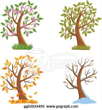 Vector Illustration   Four Seasons Tree  Stock Clip Art Gg62824400