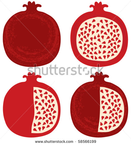 Vector Pomegranate Clip Art   Stock Vector