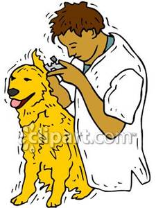 Vet Looking In A Dog S Ear   Royalty Free Clipart Picture