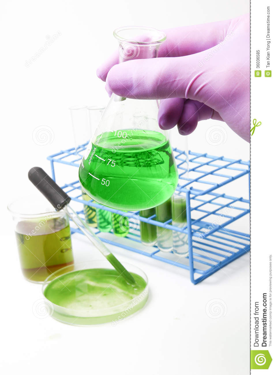 Algae Biofuel Technology Royalty Free Stock Photo   Image  36036585