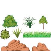 Bush And Rock   Clipart Graphic