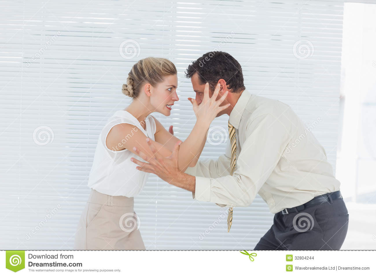 Business Team Having Heated Argument Stock Images   Image  32804244