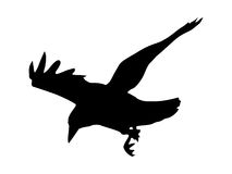 Crow Silhouette Stock Images