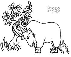 Day 7  Sacrifice The Ram In The Thicket More