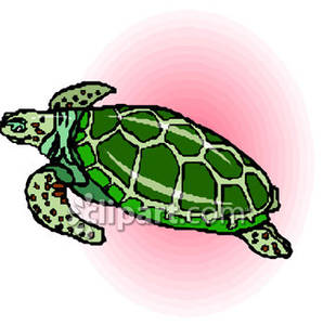Green Swimming Sea Turtle   Royalty Free Clipart Picture