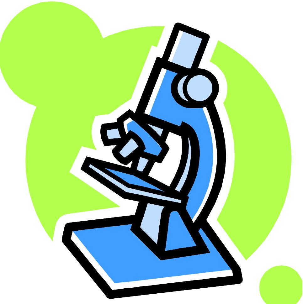 Microscope   Free Images At Clker Com   Vector Clip Art Online