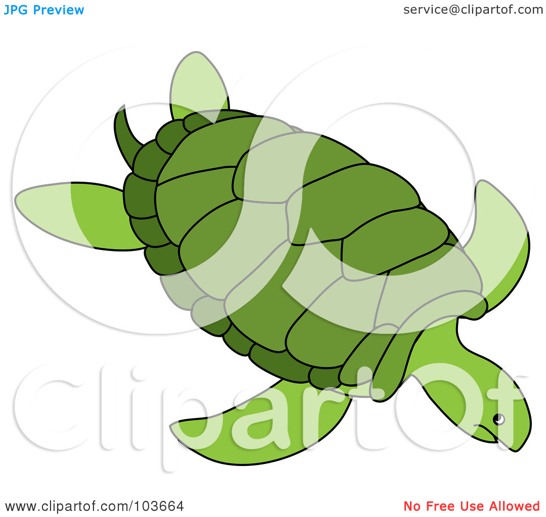 Royalty Free  Rf  Clipart Illustration Of A Green Sea Turtle Swimming