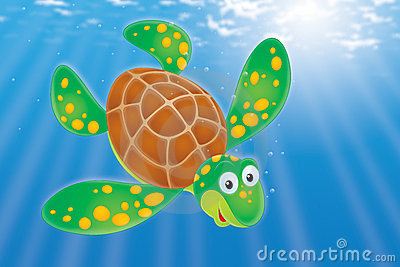 Swimming Turtle Stock Image   Image  12843821