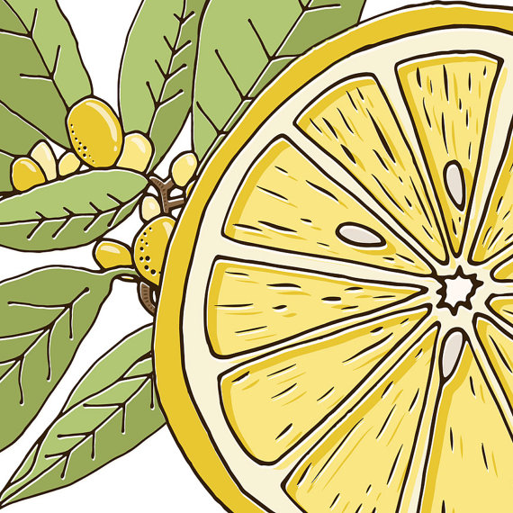 Tart And Tangy Lemon Fresh Clip Art  These Sweet   Juicy Lemons Trees    