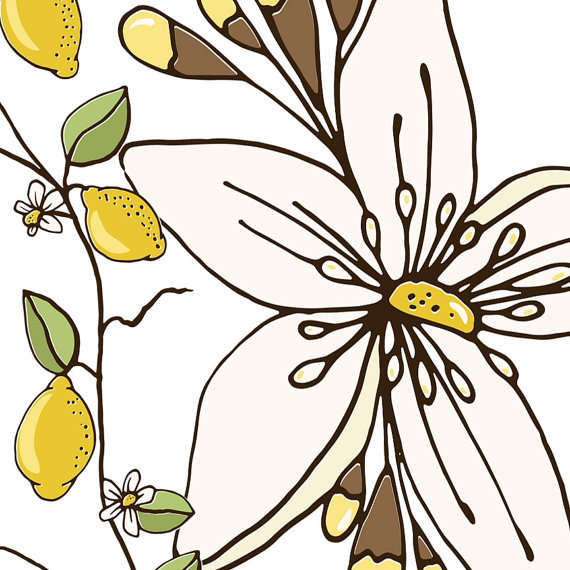 Yellow Lemon Clipart Lemon Blossom Flowers   Hand Drawn Lemon Tree