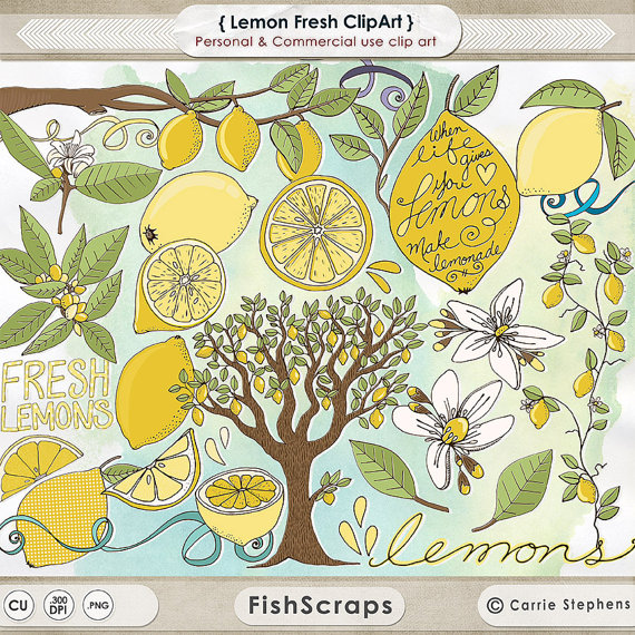 Yellow Lemon Clipart Lemon Blossom Flowers   Hand Drawn Lemon Tree