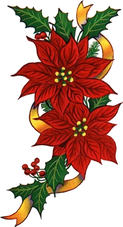 Christmas Flowers Graphics And Animated Gifs  Christmas Flowers