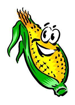 Corn Maze Clipart Gallery For   Clipart Corn
