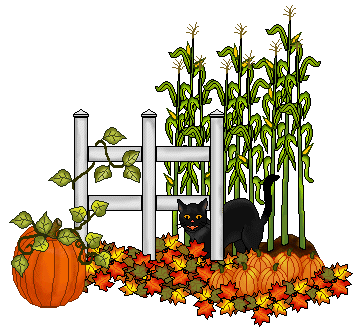Pumpkin Clip Art   Black Cat In A Pumpkin Patch