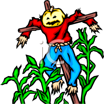 Pumpkin Head Scarecrow In A Field Of Corn   Royalty Free Clipart
