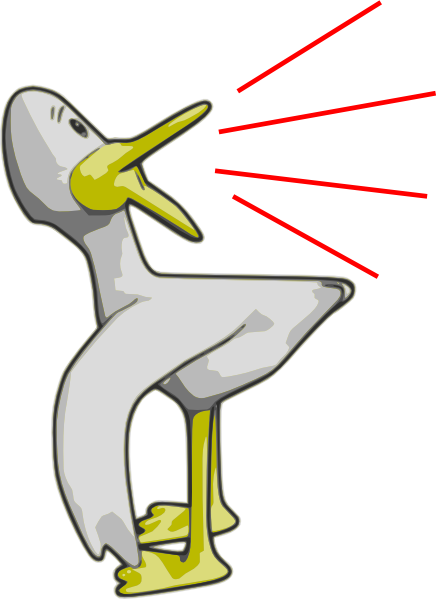Quack Clip Art At Clker Com   Vector Clip Art Online Royalty Free
