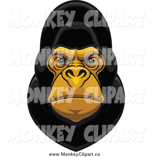 Royalty Free Clip Art Of A Gorilla Face This Gorilla