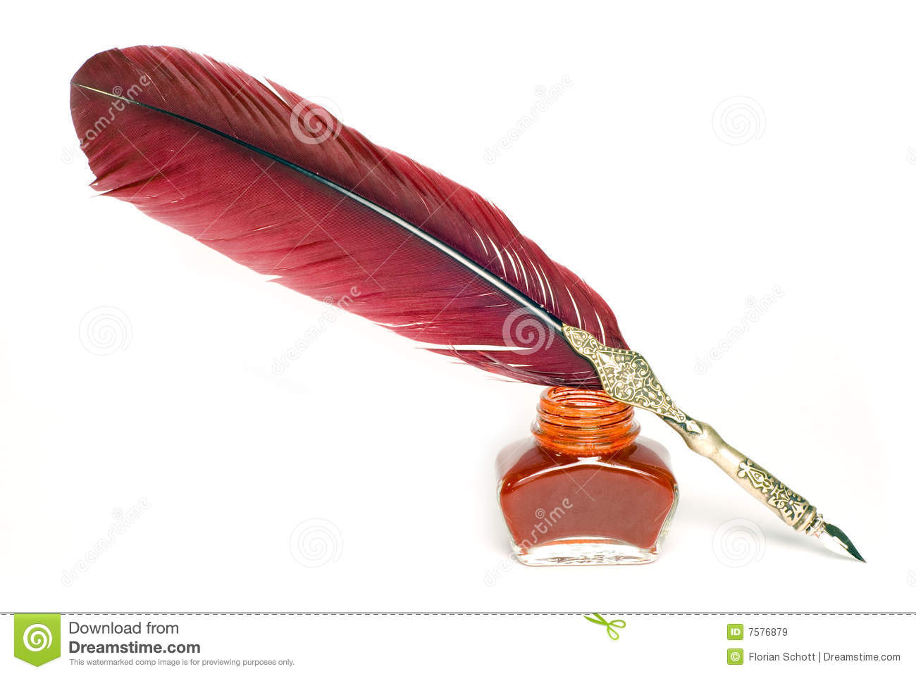 Writing Feather Royalty Free Stock Images   Image  7576879