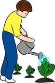 Child Watering Plants   Clipart Graphic