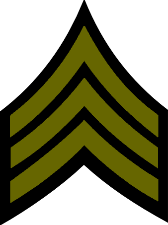Enlisted Rank Insignia