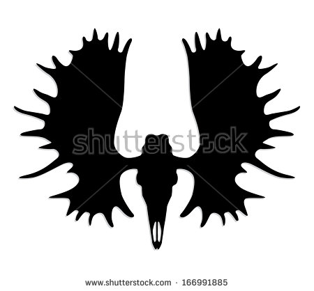 Stock Images Similar To Id 60041666   Moose Head Antler Isolated On