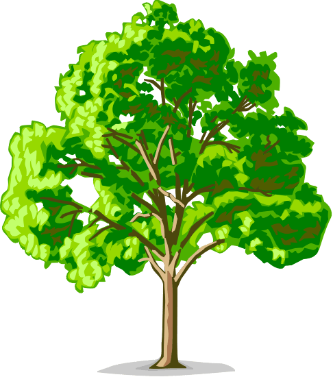 Family Tree Roots Clip Art   Clipart Panda   Free Clipart Images