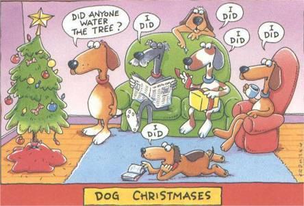 Funny Dogs Christmas Tree Picture Cartoon