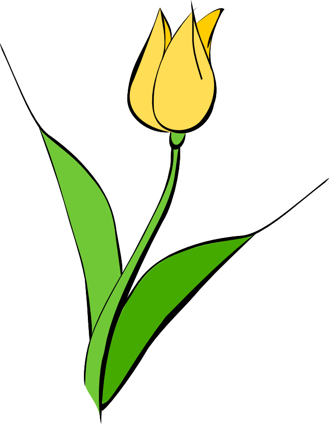 Here S The Last Of The Flower Clip Art I Made They Re Tulips And    