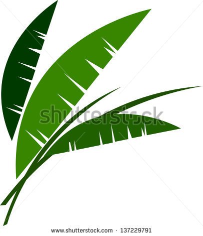 Palm Leaf Stock Photos Illustrations And Vector Art