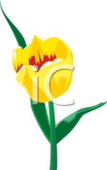 This Clipart Image Of A Yellow Tulip  Clipart Image Can Be Licensed