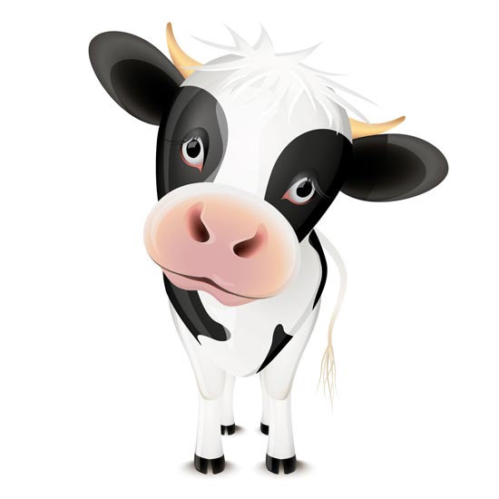 Cartoon Cow   Google Search