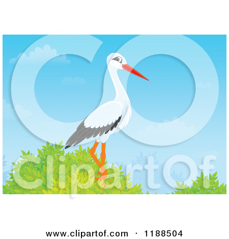 Royalty Free Rf Clipart Illustration Of A White Stork Bird In Flight