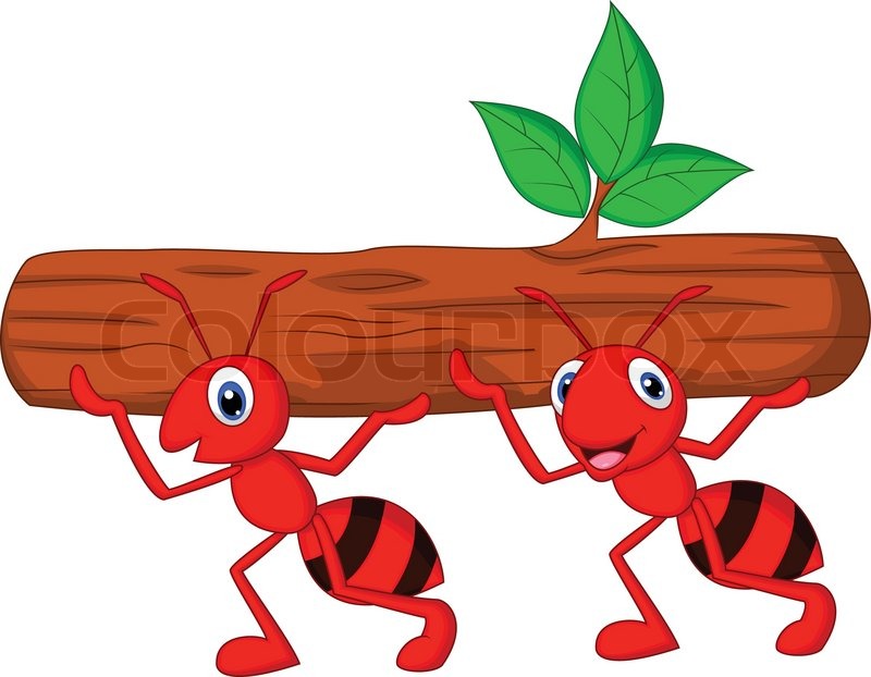 Vector Of  Vector Illustration Of Team Of Ants Cartoon Carries Log