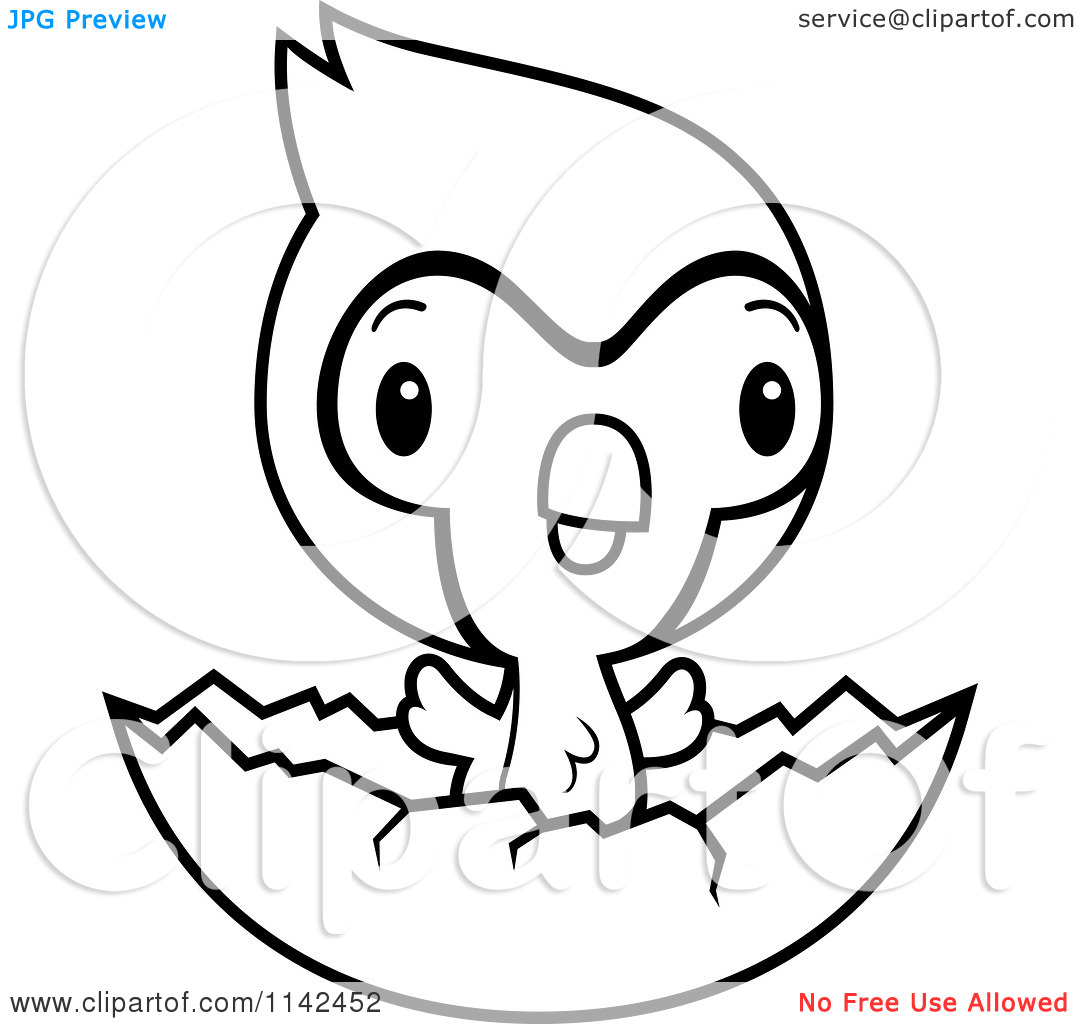 Cartoon Clipart Of A Black And White Cute Baby Bluejay Chick Hatching    